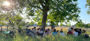 Der Johannstädter Plattenchor singt beim Liederpicknick auf den Elbwiesen gemeinsam mit interessierten Gästen in der Abendsonne.