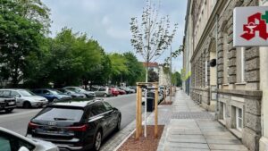 Asphaltstraße mit parkenden Autos; am Rande frisch gepflanzte Bäume