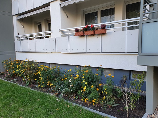 Mieterbeet im Wohnhof Hopfgartenstraße 2020 (Foto: Matthias Kunert)