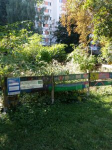 wilder Garten mit buntem Holzzaun davor mit Förderlogos - unser Gartenlabor