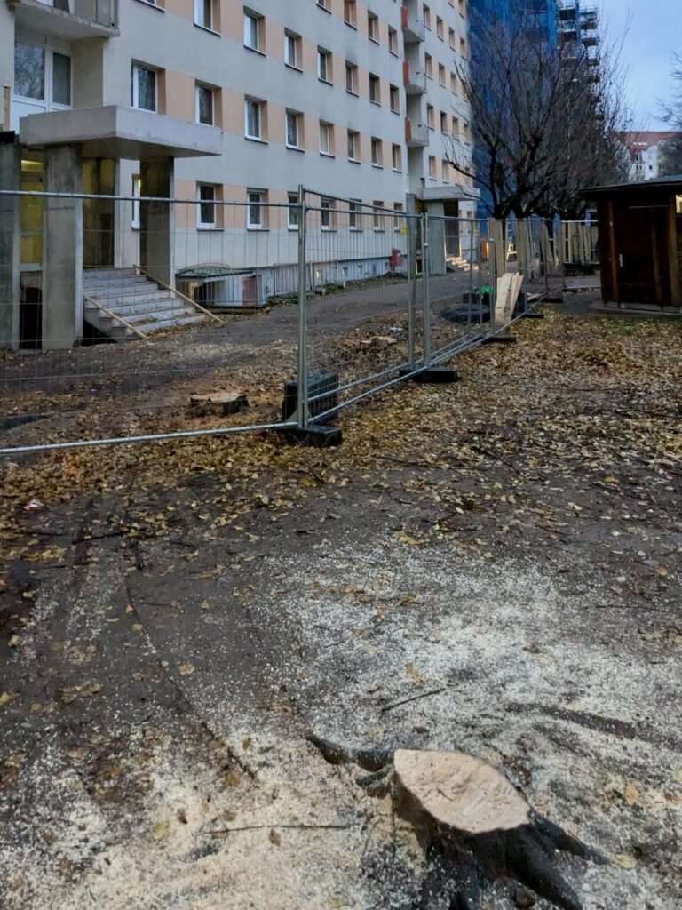 Baumsümpfe vor und hinter dem Bauzaun des Wohnblocks